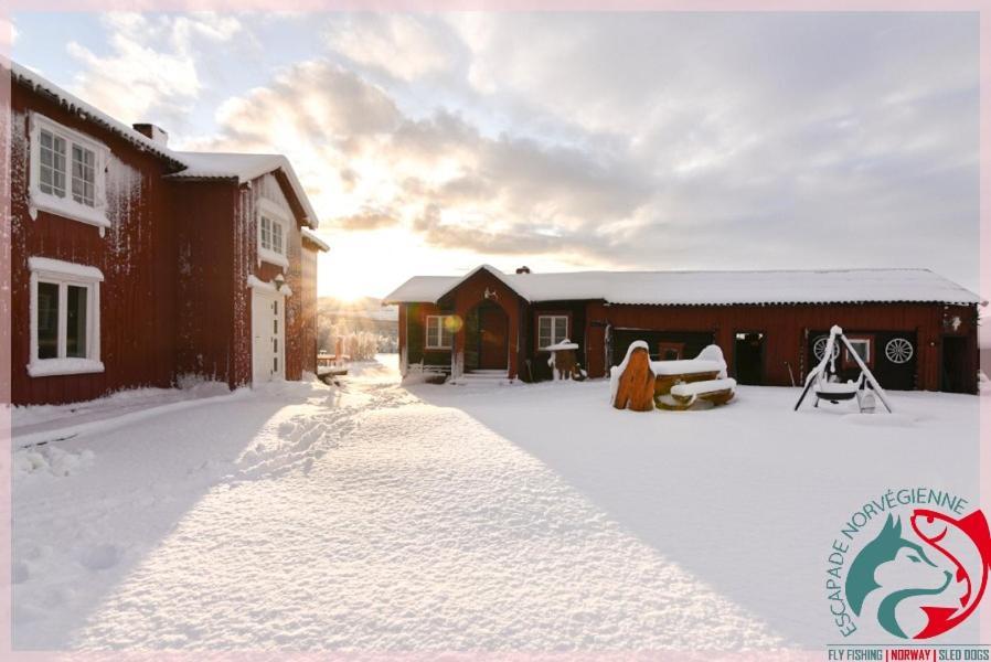 Escapade Norvegienne Apartment Tolga Exterior photo